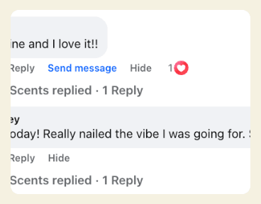 Customer review