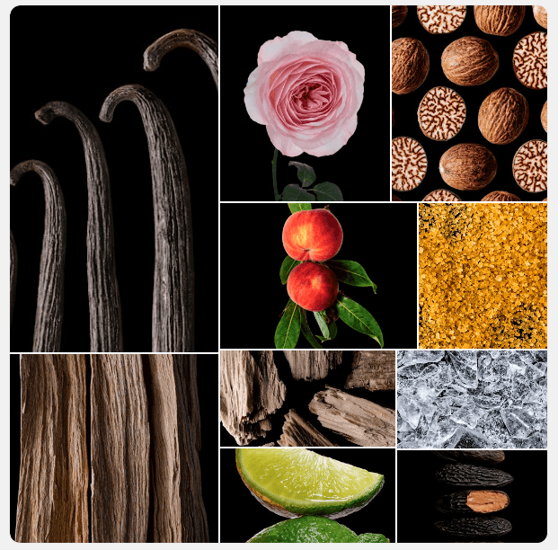 Scent Board Dark - Vanilla, wood, amber ingredients