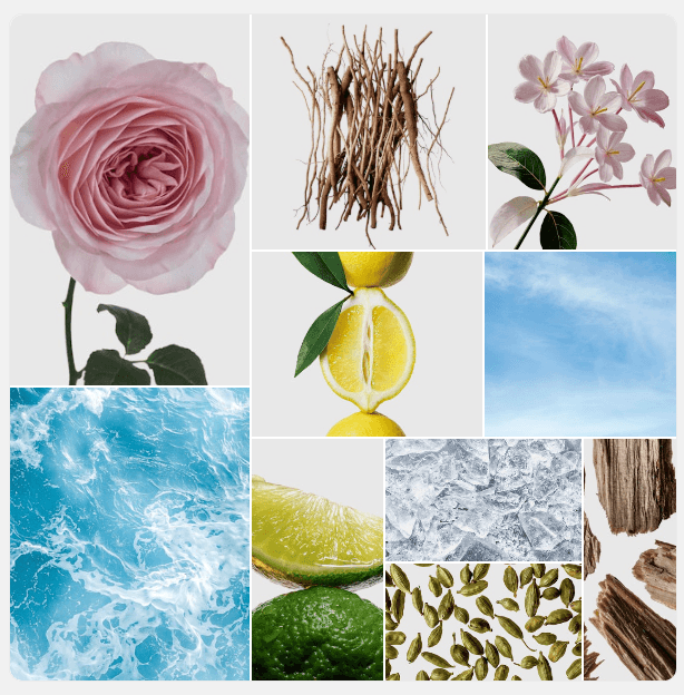 Scent Board Light - Rose, jasmine, citrus ingredients